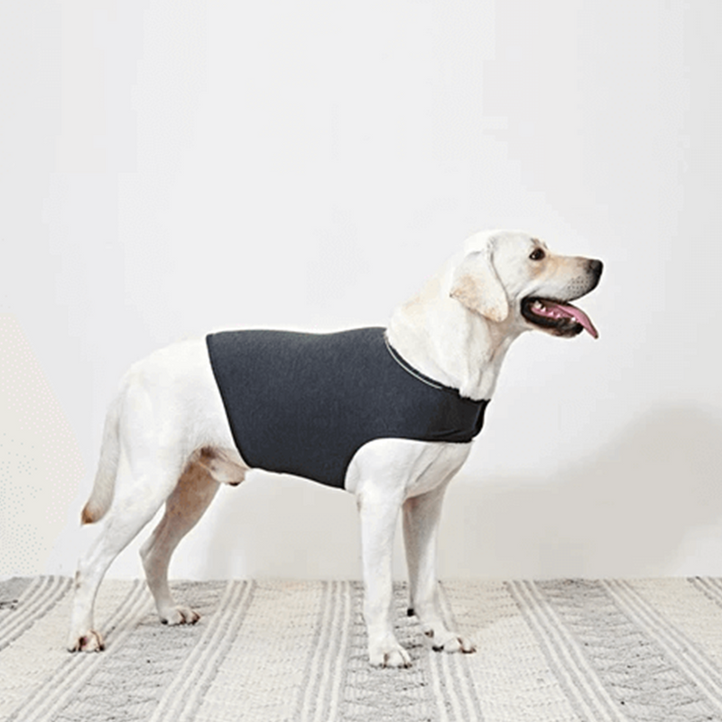 gid://shopify/MediaImage/33701393596656